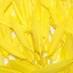 FeelfunFeather 120pcs Yellow Goose Cochettes Feather Natural Bulk 4-6 inch 10-15cm for Wedding Party Christmas Halloween Decorations DIY Crafts Goose Cochettes Feather