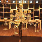 H&D 10pcs 5.3" Crystal Raindrop with Octagon Beads Chandelier Prisms Pendants Lamp Curtain DIY Suncatcher Parts (Clear)