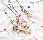 Velvet Table Runner 20 x 120 Inches 10ft Luxurious Thick Soft Velvet Christmas Thanksgiving Wedding Reception Table Runner for Party Reception Decorations(Ivory, 6 Pack)