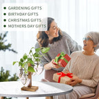 Plants Propagation Stations Plant Terrarium Kit Glass Planters for Indoor Plants House Plant Accessories Gift for Women - 4 Love Bulb Vase