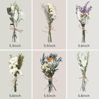 12/24 Pack Dried Flowers for Vase Various Mini Bouquet Dried Small Wildflowers Natural Real Flowers Bulk for Crafts DIY Wedding Decor (12, White)