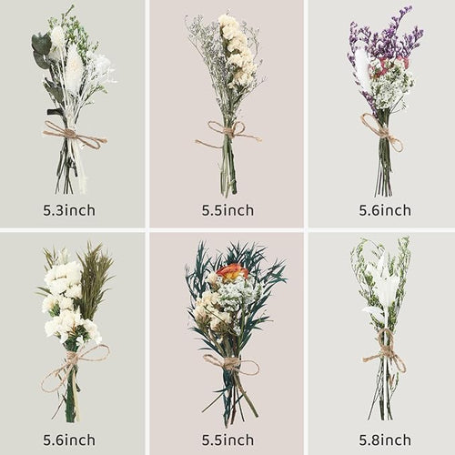 12/24 Pack Dried Flowers for Vase Various Mini Bouquet Dried Small Wildflowers Natural Real Flowers Bulk for Crafts DIY Wedding Decor (12, White)