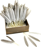 FeelfunFeather 120pcs Natural Gray Goose Cochettes Feathers Bulk 4-6 inches 10-15cm for Wedding Party Christmas Halloween Decorations DIY Crafts