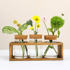Propagation Stations, Plant Terrarium for Indoor Hydroponic Decor, Glass planters for Fresh Cuttings, Unique Birthday Gifts for Women & Mom, Home/Office Decor