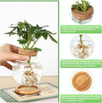 Propagation Station, Larger Capacity Ball Vase with Base for Hydroponic Plants, Home/Office Decor & Gift for Plant Lovers, 2pcs Glass Terrariums