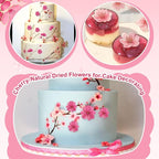 101 PCS Pressed Cherry Blossom for Crafts, Pink Dried Pressed Flowers for Resin DIY Jewelry Making Cake Card Scrapbook Decor, Dried Sakura Flowers for Soap Candle Making