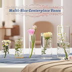 15pcs Glass Vase Cylinder Vases for Centerpieces Small Flower Glass Vases Home Decor Centerpiece Table Clear Flower Vase Decorations for Wedding＆Holiday 4,6,7.5,8,10 Inch Tall