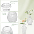 Set of 12 Glass Bud Vases-Small Vases for Flowers-Mini Bud Vases in Bulk -Vintage Vases Centerpieces for Tables Wedding and Home Decor(12pcs/Clear)