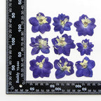 48 Pcs Dried Pressed Flowers for Resin DIY Art Crafts Natural Dry Sakura Larkspur Floral Epoxy Jewelry Real Flower Decor Cakes Phone Cases Candles Handmade Soap
