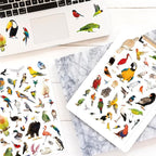 Bird Stickers 850 Count Tropical Bird Parrot Flamingo Peacock Hummingbirds Stickers Animal Party Favors Gifts Sticky Decor for Scrapbook Calendar Planner Gift Wrap Decor