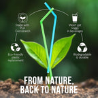 Weemium Compostable Straws Disposable 300 Pack | 100% Plant-Based Plastic-free, Disposable and Biodegradable | Flexible Colorful Drinking Straws are Best Alternative to Plastic