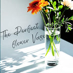 5pcs Glass Vase Cylinder Vases for Centerpieces Small Flower Glass Vases Home Decor Centerpiece Table Clear Flower Vase Decorations for Wedding＆Holiday 4,6,7.5,8,10 Inch Tall