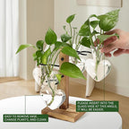 Plants Propagation Stations Plant Terrarium Kit Glass Planters for Indoor Plants House Plant Accessories Gift for Women - 4 Love Bulb Vase