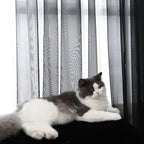 Window Black Sheer Curtains 84 Inches Long 2 Panels Sheer Curtain Basic Rod Pocket Panel for Bedroom Children Living Room Yard Kitchen (Black, 52" W x 84" L | 2 pcs)