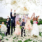 CODE FLORIST 2200 PCS Silk Flower Rose Petals for Wedding Decorations (Ivory)