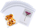 PigPotParty 5"x7" Cellophane Cookie Bags Self Sealing, 200 Pcs Clear Plastic Treat Individual Cookie Bags with seal, Perfect for Goodies, Party Favors, Snacks, Gift Wrapping