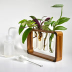 Source & Plot - Plant Propagation Station - Acacia Wood Stand 4 Glass Test Tube Hydroponic Tabletop Rooting Terrarium Planter Rack Home and Office Decor - Last Batch