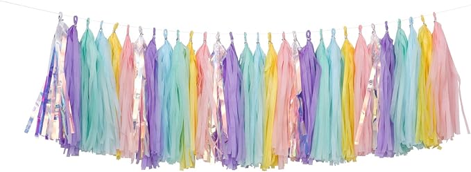 Fonder Mols Colorful Tissue Tassel Garland DIY Kit Pink Pastel Ombre Tassel Banner for Rainbow Themed Girls Room,Nursery, Baby Shower Birthday Party Decorations A29