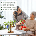 Plants Propagation Stations Plant Terrarium Kit Glass Planters for Indoor Plants House Plant Accessories Gift for Women - 4 Love Bulb Vase
