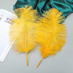 12pcs Natural Luxury Gold Ostrich Feathers 12-14inch (30-35cm) for Wedding Party Centerpieces，Flower Arrangement and Home Decoration.