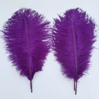 Sowder 16-18inch(40-45cm) Ostrich Feathers Plume for Wedding Centerpieces Home Decoration Pack of 10pcs(Purple)