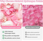 1500+ Real Dried Hydrangea Flower Petals -1.06Oz Real Natural Preserved Petals for Wedding, Party Confetti, Romantic Night, Proposal Decor, Handcrafts (Pink & White)