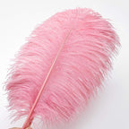 Ballinger Lotus Pink Ostrich Feathers - 24Pcs 12-14inch Large Feathers Bulk for Vase,Party Centerpieces,Wedding and Home Decor