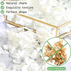 3000+Pcs Real Ivory White Dried Hydrangea Flower Petals - 100% Natural Creamy White Flower Petals for Wedding Confetti, Romantic Night Decor, DIY Handcrafts (2.12oz)
