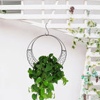 Air Plants Holders Wire Wreath Frame Hanger, 11 inch Moon Shape Wreath Form Hanging Plant Holder Metal Hanging Orchid Planter Plant Basket Holder, Succulent Wire Wreath Frame with Hook