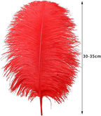 12pcs Natural Bright Red Ostrich Feathers 12-14inch (30-35cm) for Wedding Party Centerpieces，Flower Arrangement and Home Decoration.