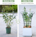COOOXIM Peony Cages & Supports - Metal Plant Obelisk Trellis for Outdoor Use, 27.5 x 22 Inches, Perfect for Peonies, Roses, and Climbing Vines - Durable Garden Support Ring in M Shape