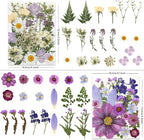 80 Pcs Dried Pressed Flowers for Crafts, Natural with Vibrant Colors & Various Shapes, Exquisite Arrangement for Resin, DIY, Jewelry, Candle & Soap Making – Tweezers Included