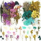 Vignee Real Dried Pressed Leaf Flowers-Multiple Colorful Pressed Flowers Daisies for Craft Resin Jewelry Making Art Craft DIY（Blue & Purple）
