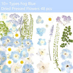 Real Dried Pressed Flowers Leaf Plant Herbarium for Crafts Resin Jewelry Making, Floral Cake Decorations-Fog Blue