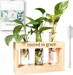 Rooted in Grace: Plant Propagation Stations: Plant Cutting Holder w/ 3 Glass Propagation Vases, Unique & Encouraging Christian Gifts for Women, Faith-Inspired Home Decor