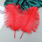 12pcs Natural Bright Red Ostrich Feathers 12-14inch (30-35cm) for Wedding Party Centerpieces，Flower Arrangement and Home Decoration.