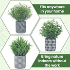 3 Pack Small Fake Plants, Fake Grass Plant, Artificial Boxwood & Rosemary with Geometric Pattern Cement Pots, Small Potted Faux Greenery for Home Decor, Bathroom, Office, Farmhouse Decoration