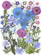 8 Types 46pcs Real Dried Pressed Flowers Leaf Plant Herbarium for DIY Resin Jewelry Making Floral Decors (Blue)