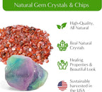 – Premium Small DIY Terrarium Kit for Succulents, Cacti & Air Plants, Includes Soil, Moss, Pebbles, Tools, Amethyst Gem & Crystal Chips – Handmade in USA