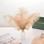 Ballinger Champagne Ostrich Feathers Bulk - 24pcs 10-12inch Boho Feathers for vase and Home Decor Wedding Party Centerpieces