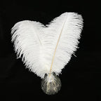 Happy Feather 16-18 inch White Ostrich Feathers Craft for Wedding Party Centerpieces Home Decoration DIY Craft Pack of 10