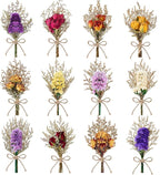 12/24 PCS Charming Dried Flowers Bouquet for Vase Various Dried Wildflowers with Stems Mini Handmade Wildflowers Natural Real Flowers Bulk Flowers Craft (Forget Me Not, 12 PCS)