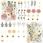 80 Pcs Dried Flowers for Crafts, Real Natural Dried Pressed Flowers in Soft Yellow, White & Pink Tones for Resin, DIY Art, Jewelry, Candle & Soap Making – Tweezers Included