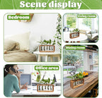 Glass Plant Propagation Station with 5 Test Tubes Colorful Planter Vase Birthday Gifts for Women in Wooden Stand