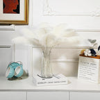 Holmgren Beige Ostrich Feathers Bulk - 20pcs Making Kit 22 Inch Boho Ostrich Feathers for Vase, Floral Arrangement, Wedding Party Centerpieces and Christmas Home Decorations (Beige)