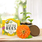 Buzzy Seeds Save The Bees Biodegradable Grow Kit | Herb, Plant, Flower Starter Kit for Kids & Adults | Assorted Wildflowers 12-Pack | Guaranteed to Grow | Best Indoor Grow Your Own Plant