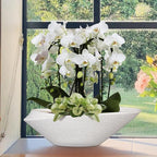 Bonsai Pots - 18 Inch Ceramic Plant Pot for Bonsai Tree, Modern Indoor & Outdoor Succulent Planter with Drainage, Room Decor, Gifts for Plant Lovers, White-Black