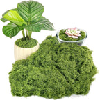 Fake Green Moss for Plants Indoor, 5.3OZ Artificial Moss for Potted Plants Decor, DIY Decorative Moss for Crafts Fairy Garden Floral Wedding Model Making Glass Containers Home (150g)