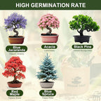 5 Pack Bonsai Tree Kit - 5 Seeds Growing Plant Bonsai Tree Live Kit for Beginners, Easy to Grow Complete Indoor Garden Starter Kits with Wooden Box & Tools, Christmas Gifts for Men Women Plant Lover