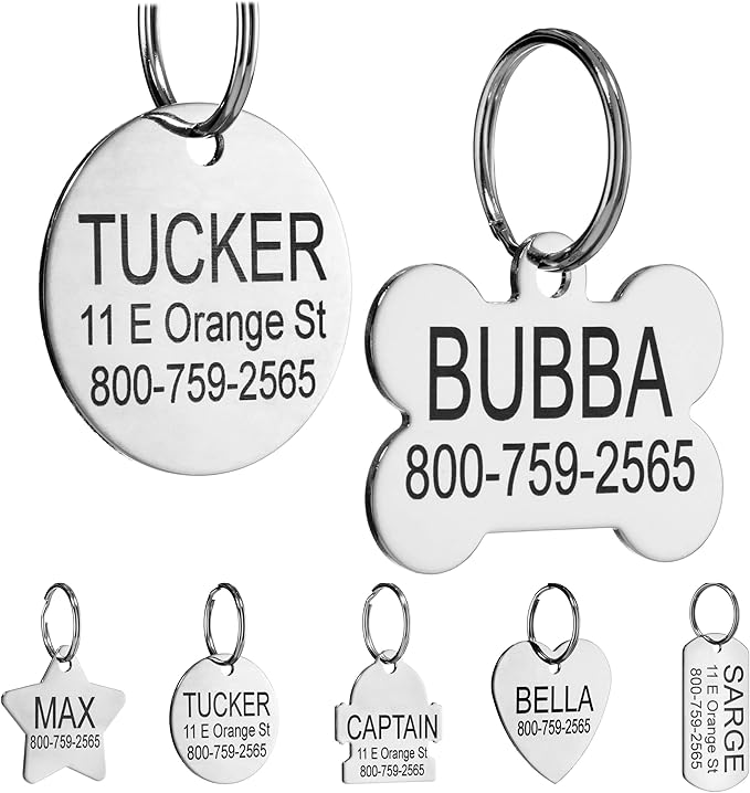 Providence Engraving Custom Engraved Stainless Steel Pet ID Tags - Personalized Front and Back Identification, for Large or Small Cats and Dogs, Round, Small